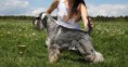 /album/fotogalerie/img-8657-jpg1/